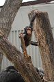 Kids_DFWzoo_3-2016 (270)